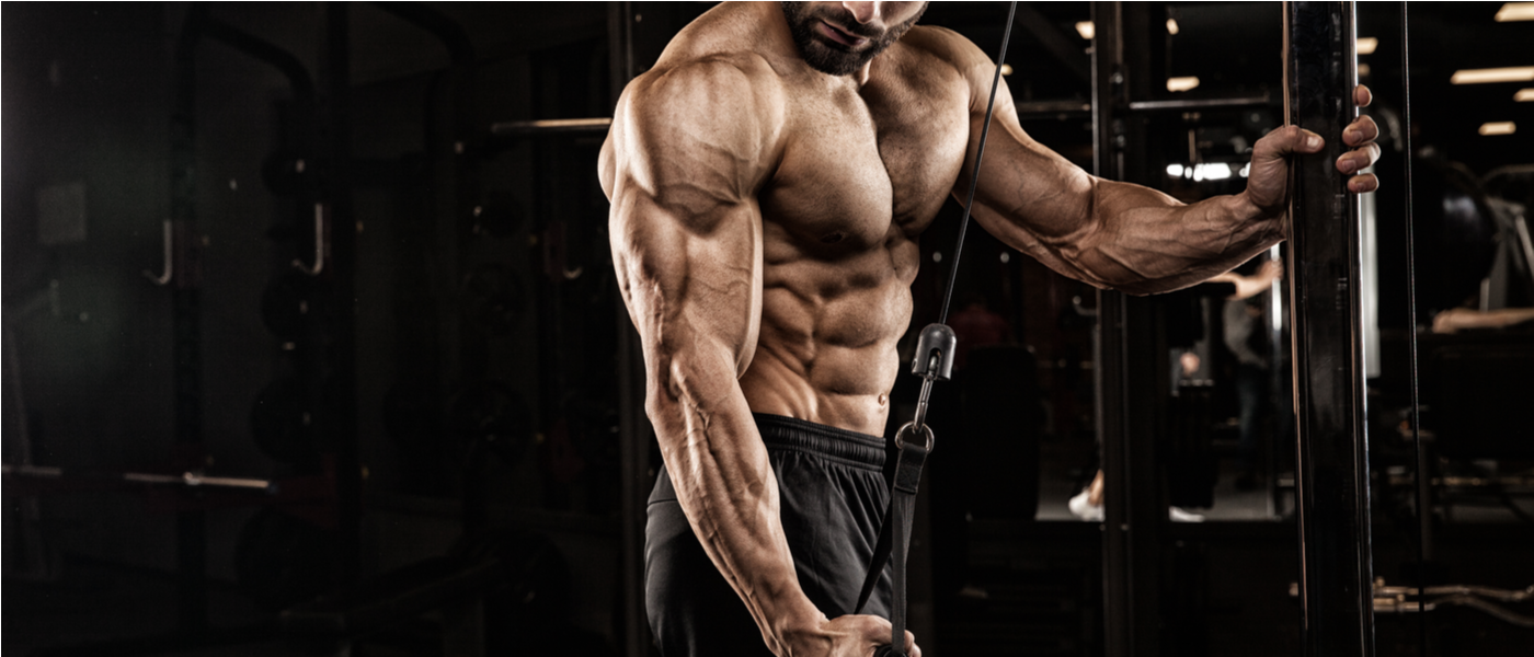 MAPS Triceps MOD