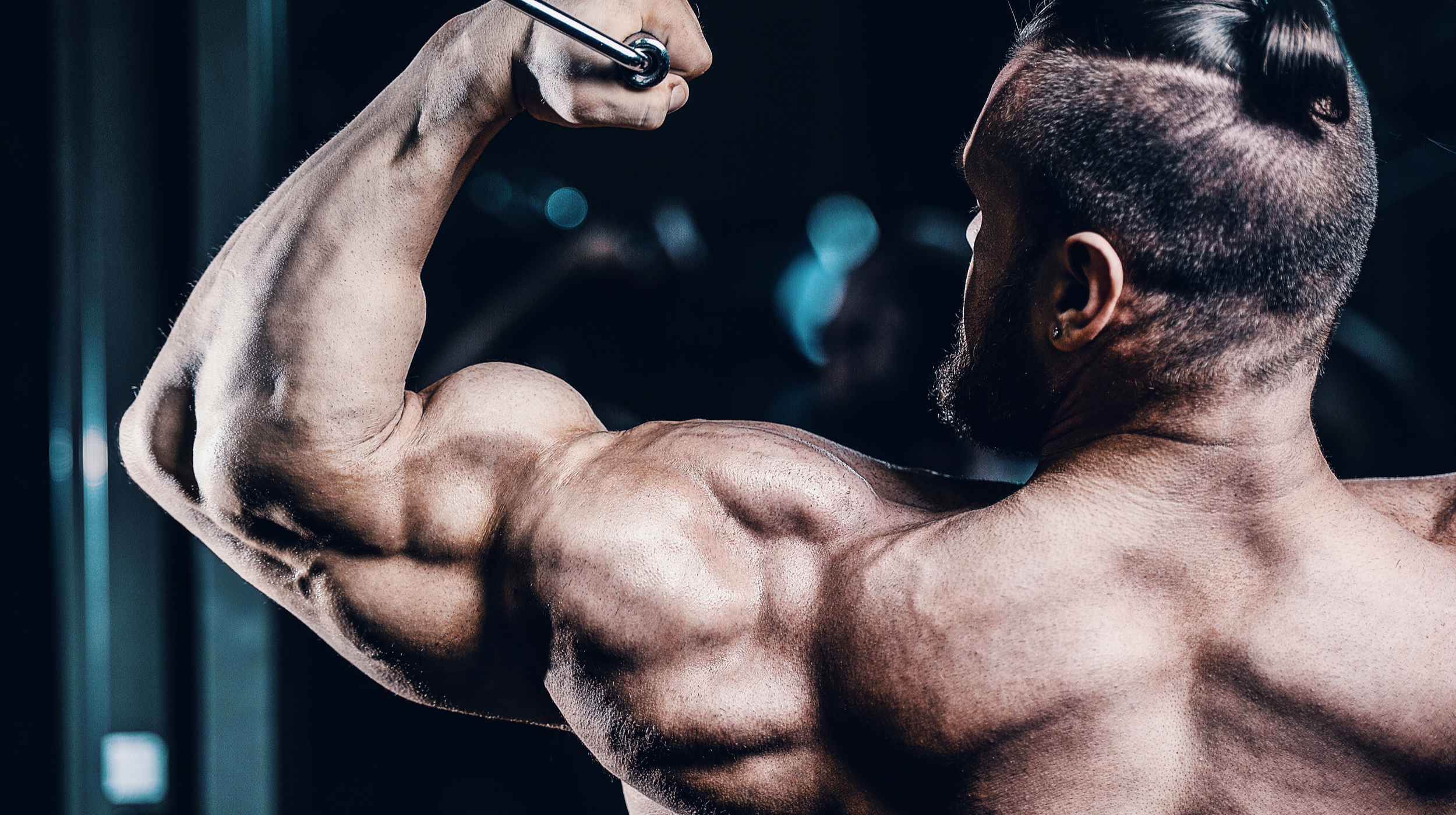 Top Exercises You Should Do If You Want Big Arms