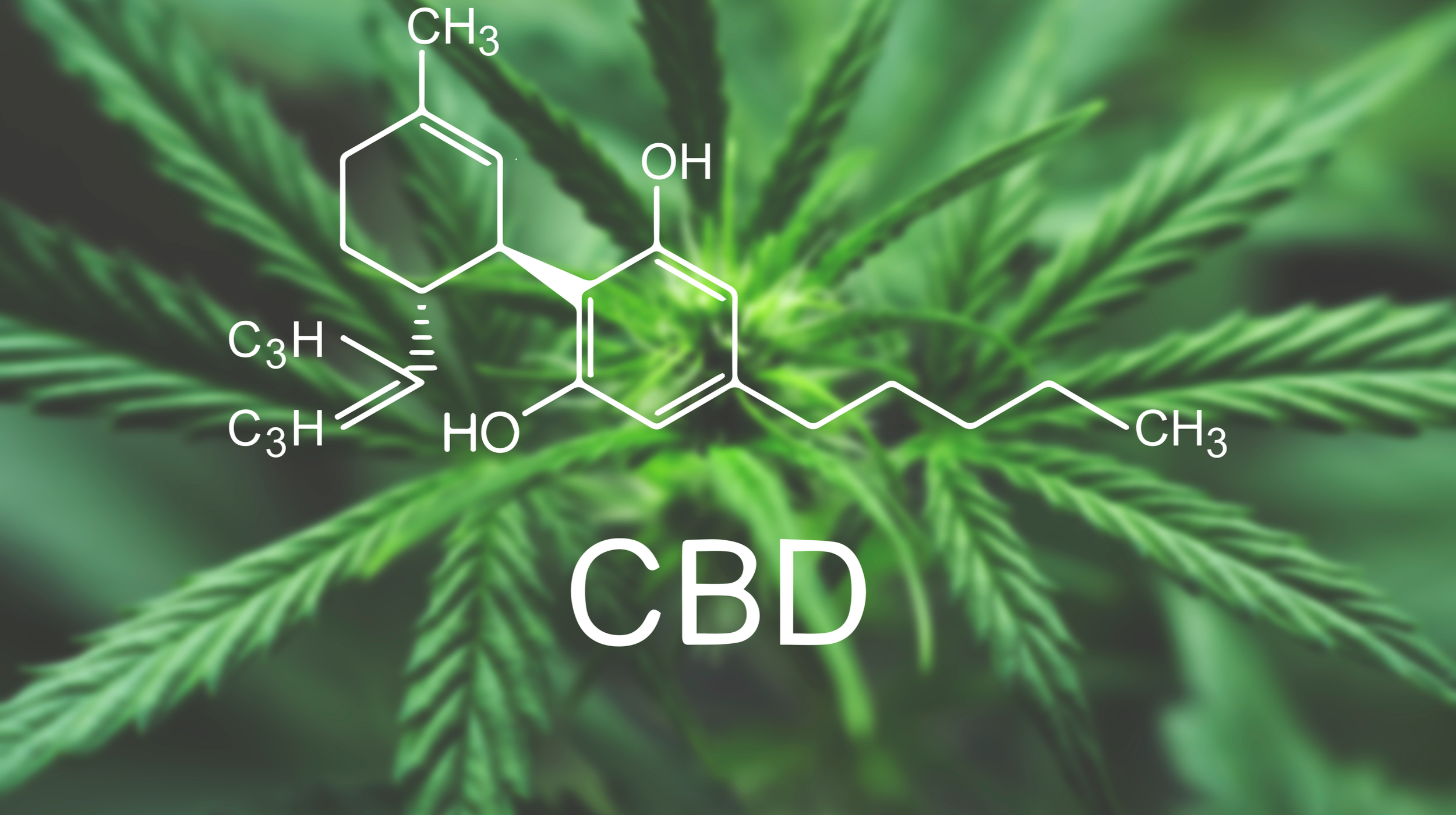 CBD (Cannabidiol) – What is it?