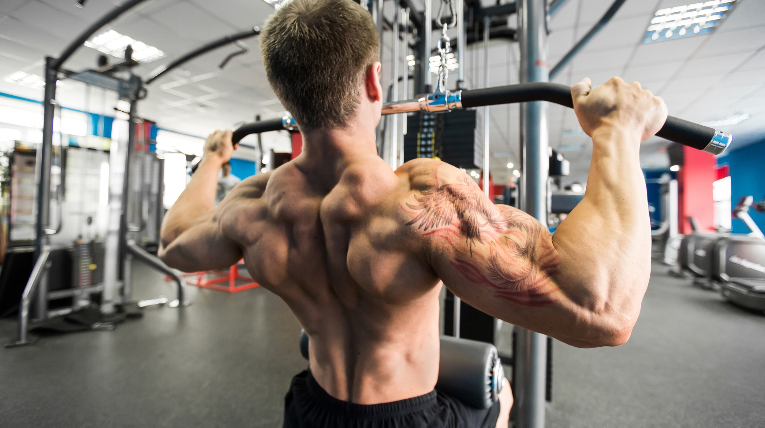 What are the Best Back Workouts for Putting on Size?