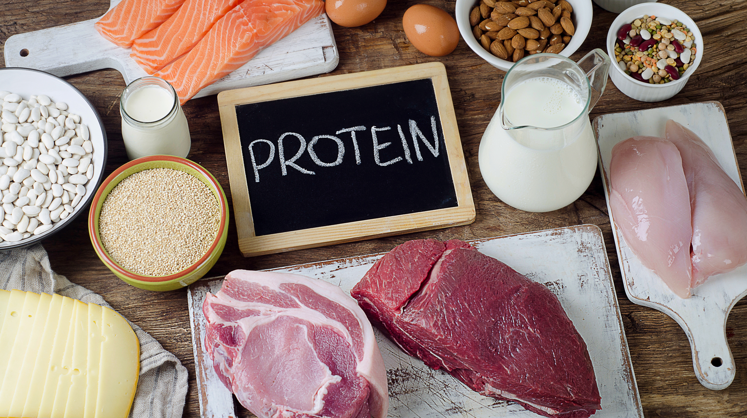 Why do we Need Protein?